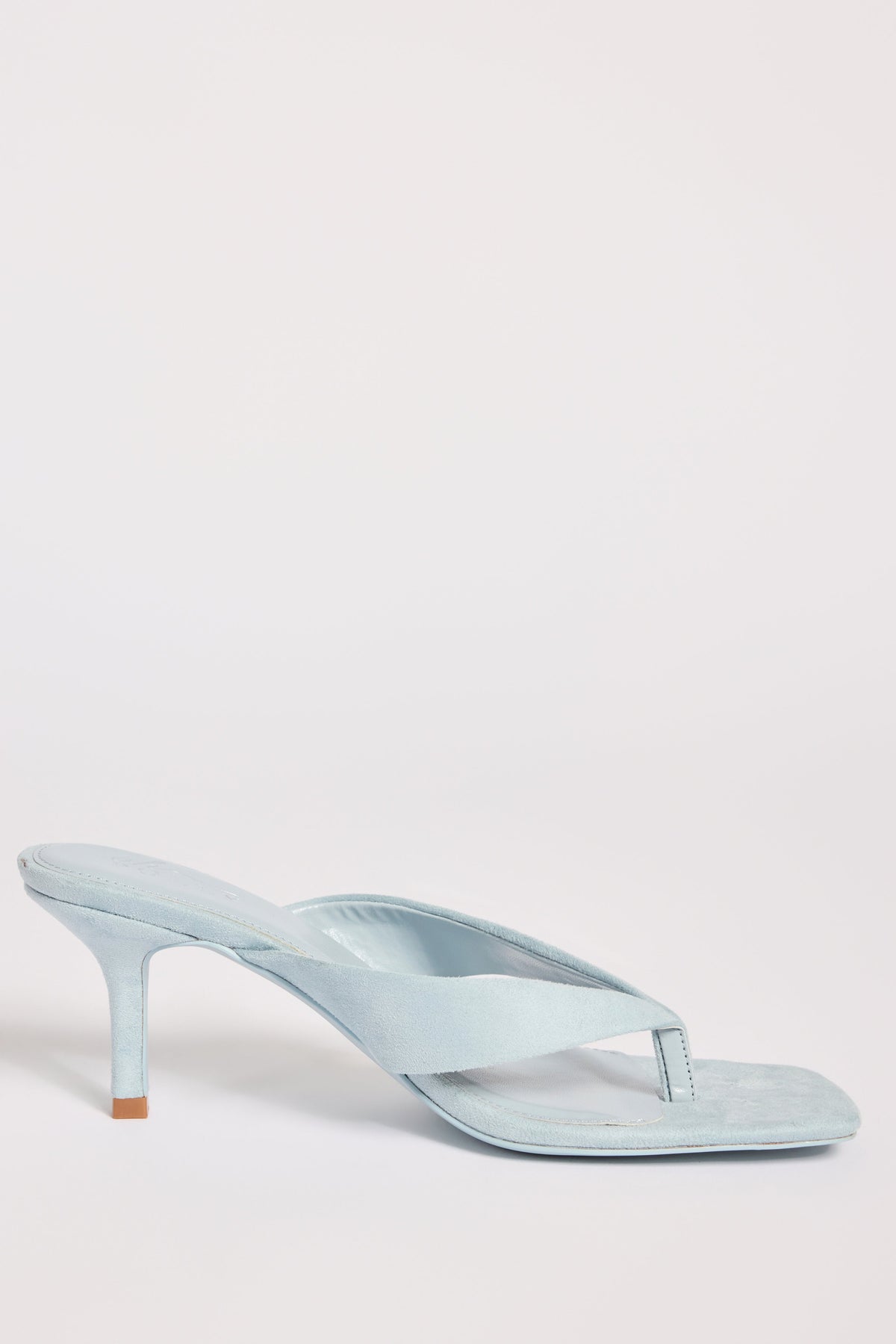 Heeled Thong Sandals  in Arctic Blue