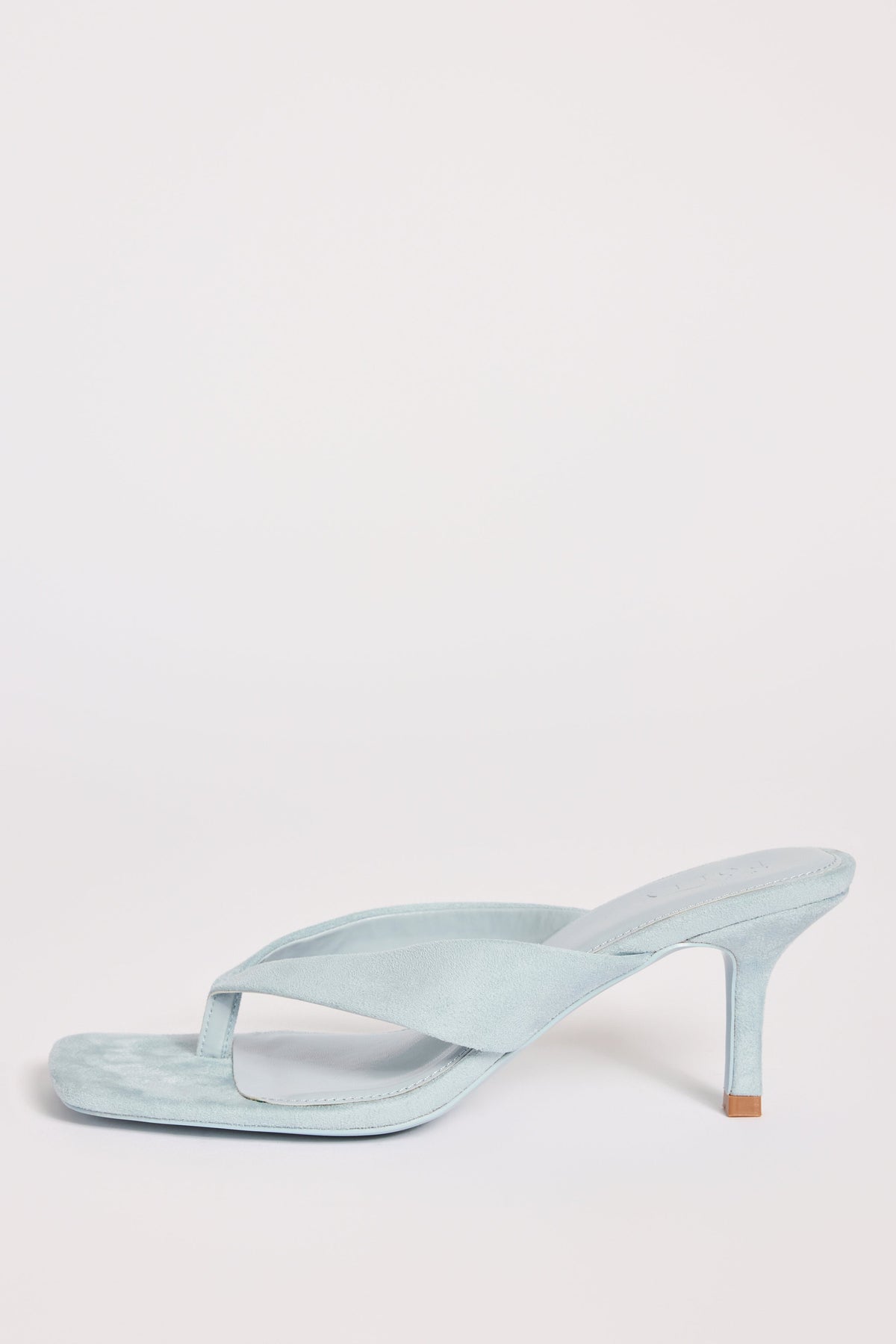 Heeled Thong Sandals  in Arctic Blue